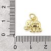 Brass Pendants KK-F899-10G-3