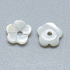 Natural White Shell Beads SSHEL-S260-001-2
