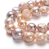 Natural Cultured Freshwater Pearl Beads Strands PEAR-L033-41A-01-2