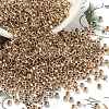 TOHO 8/0 Round Beads SEED-TR08-0989-1