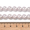 Electroplated Shell Pearl Beads Strands BSHE-G041-8mm-06-2