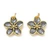 Brass Enamel Pendants KK-CBAD9DF-03G-A-2