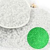 6/0 Luminous Glass Seed Beads X1-SEED-NH0001-01A-1