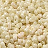 Glass Seed Beads SEED-K009-02B-08-3