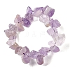 Natural Amethyst Beads Strands G-S386-B05-3