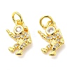 Rack Plating Brass Micro Pave Cubic Zirconia Charms X-KK-D036-17G-2