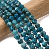 Natural Map Stone Beads Strands G-Z119-A23-01-1