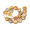 Natural Crazy Lace Agate Flat Round Beads Strands G-M206-16-2