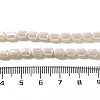 Electroplate Glass Beads Strands EGLA-D031-01J-4