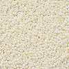 11/0 Grade A Ceylon Glass Seed Beads X-SEED-N001-B-0482-2