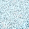 Baking Paint Glass Seed Beads X-SEED-S042-05B-64-3