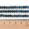 Natural Chrysocolla Beads Strands G-C289-B02-4mm-5