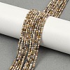 Natural Alashan Agate Beads Strands G-C181-B05-01-1
