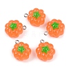 Opaque Resin Pendants LS-RESI-N039-124-1