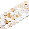 4 Strands Natural Freshwater Shell Beads Strands SHEL-PA0001-06-8
