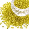 Glass Bugle Beads SEED-S032-08A-30-1