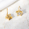 Fashionable Pentagram Brass Stud Earrings MI7430-2