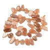 Natural Sunstone Beads Strands G-P604-A04-01-5
