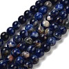 Natural South Africa Sodalite Beads Strands G-S259-35-12mm-01-4