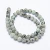 Natural Sesame Jasper/Kiwi Jasper Beads Strands G-F518-18-8mm-2