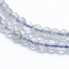 Natural Labradorite Beads Strands G-P342-09-3mm-AB+-3