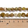 Natural Yellow Opal Beads Strands G-P497-01E-34C-5