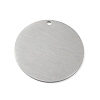 Tarnish Resistant 304 Stainless Steel Pendants STAS-F271-02F-P-2