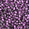 Transparent Inside Colours Glass Seed Beads SEED-T007-19A-03-2