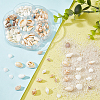 135Pcs 5 Size Natural Conch Shell Beads BSHE-PH0001-14-5