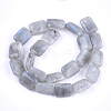 Natural Labradorite Beads Strands G-T121-13-3