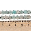 Natural Amazonite Beads Strands G-B138-C10-01-5