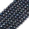 Natural Cultured Freshwater Pearl Beads Strands PA-CBABE82-07-2