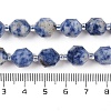 Natural Blue Spot Jasper Beads Strands G-O201B-141G-5