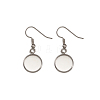 Stainless Steel Earring Hooks STAS-TA0004-02A-3