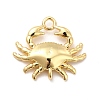 Rack Plating Brass Pendants X-KK-K270-30G-1
