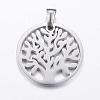 Non-Tarnish 304 Stainless Steel Pendants STAS-K147-03P-2