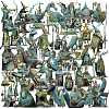 50Pcs Forest/Fairy Tale PET Cartoon Stickers STIC-T0001-09-1