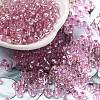 Glass Seed Beads SEED-H002-C-A041-1