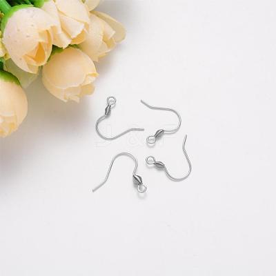 Tarnish Resistant 304 Stainless Steel Earring Hooks STAS-S111-011-1