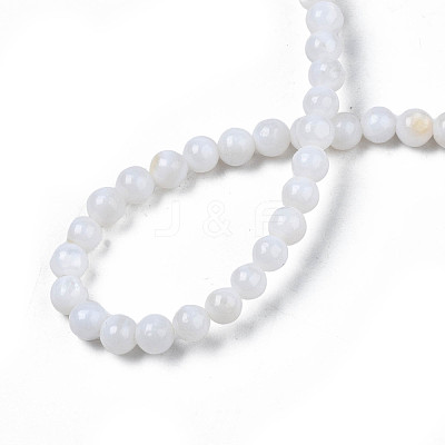 Natural Freshwater Shell Beads Strands SHEL-N003-24-A01-1