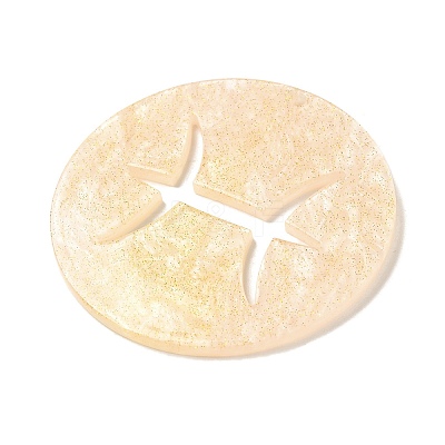 Acrylic Pendants SACR-S680-06C-1