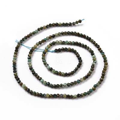 Natural African Turquoise(Jasper) Beads Strands G-P472-02-1