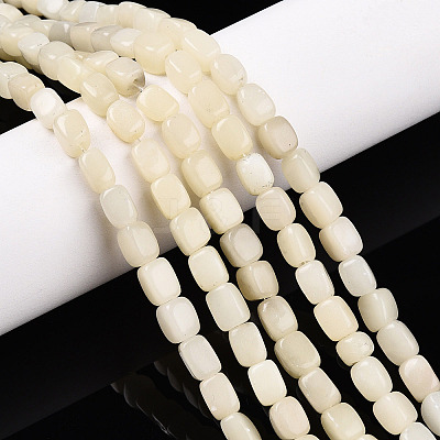 Natural White African Opal Beads Strands G-N346-04A-10-1