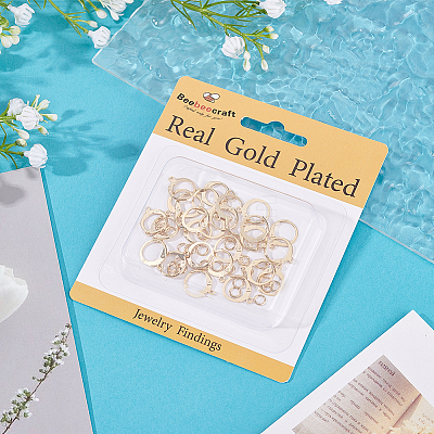 30Pcs 304 Stainless Steel Leverback Earring Findings STAS-BBC0009-21-1