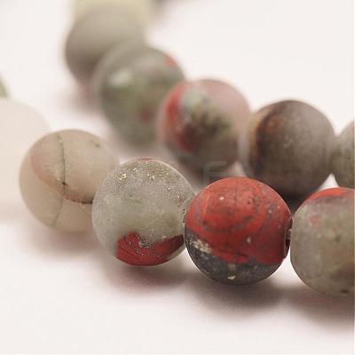 Natural African Bloodstone Beads Strands G-P295-05-6mm-1