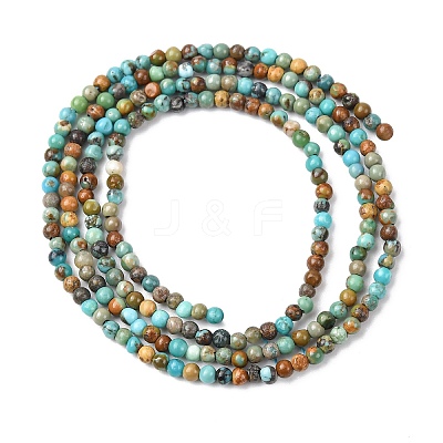 Natural African Turquoise(Jasper) Beads Strands G-K366-G01-2mm-1