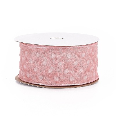 20 Yards Polyester Mesh Ribbon SRIB-P021-E02-1