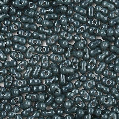 Baking Paint Glass Seed Beads SEED-L011-09A-23-1