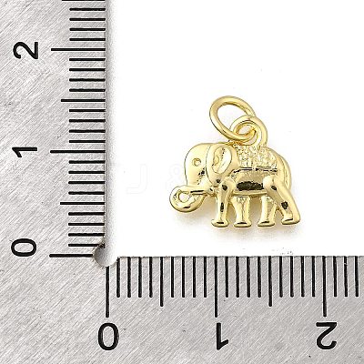 Brass Pendants KK-F899-10G-1