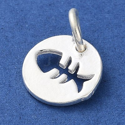 925 Sterling Silver Hollow Fish Charms with Jump Rings LS-STER-E071-01S-08-1